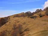 BAITA DEL PASTORE - 087